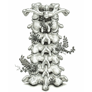 毛片A片7777777777朋友妻可以奇
