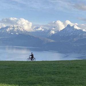 毛片A片7777777777朋友妻可以奇
